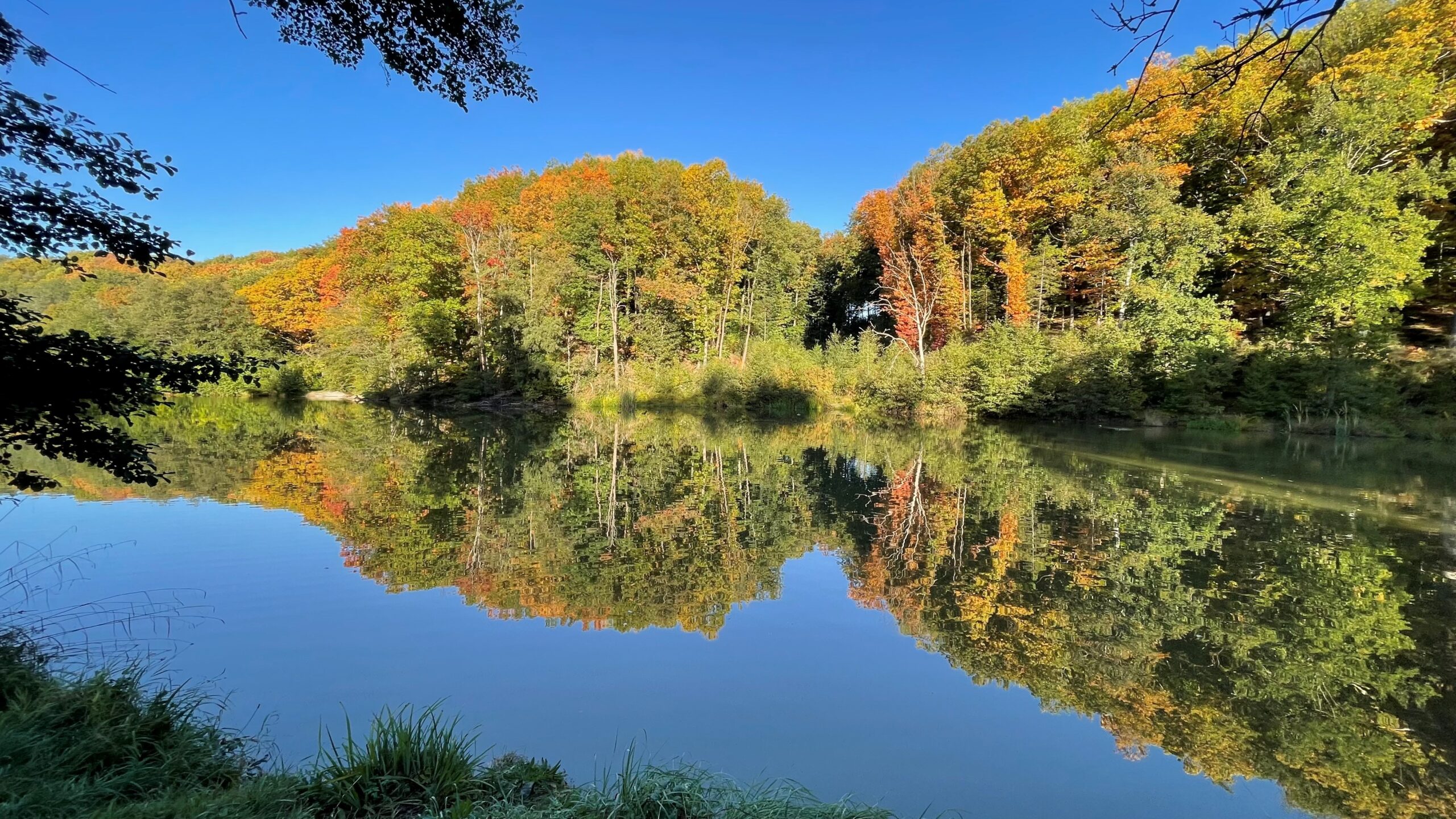 2022 foto meer spiegelend herfstkleuren